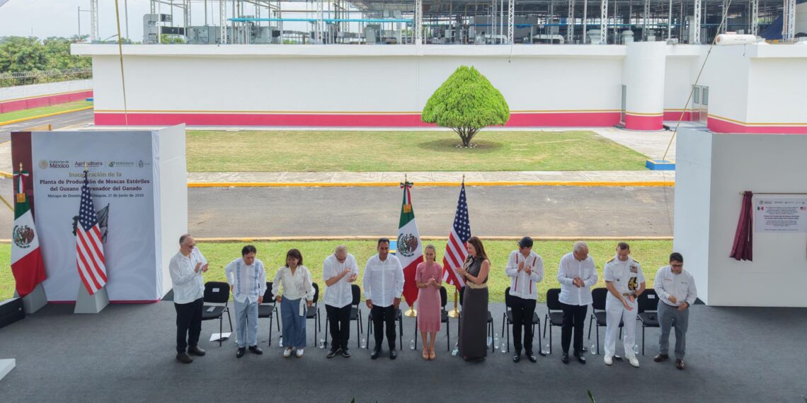 Presidenta Claudia Sheinbaum inaugura Planta de Producción de Moscas Estériles del Gusano Barrenador del ganado en Metapa de Domínguez, Chiapas