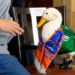 Llevan al pato Merlín a la conferencia de Sheinbaum tras viralizarse en redes sociales