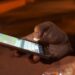La duda de miles de usuarios: ¿Existen multas por no registrar tu celular con la CURP?