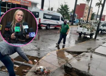 ¿Qué esperan los transportistas de Los Mochis ante la llegada de las lluvias?