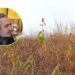 Hasta cien mil hectáreas de sorgo ocuparía China de Sinaloa: AARFS