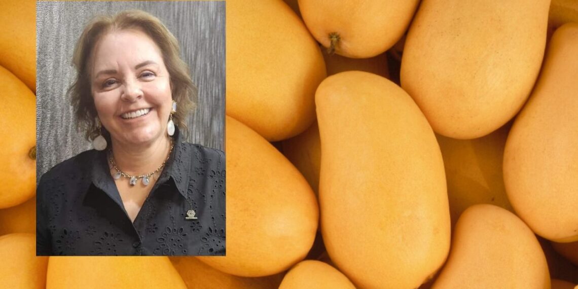 Altos precios del mango dan respiro a fruticultores del norte de Sinaloa