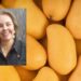 Altos precios del mango dan respiro a fruticultores del norte de Sinaloa