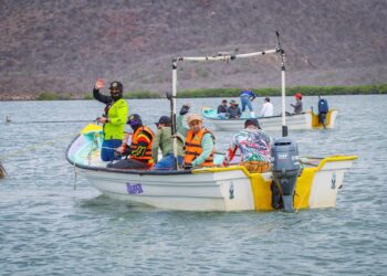 Superan mil participantes los torneos de pesca deportiva en Sinaloa; anuncian agenda de junio