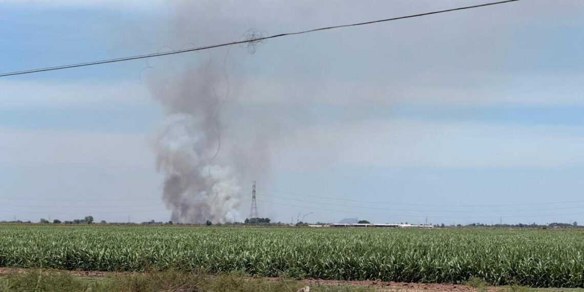 Protección Civil Ahome llama a evitar la quema de soca; advierten sanciones por contaminación y riesgo a comunidades