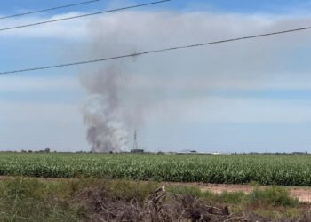 Protección Civil Ahome llama a evitar la quema de soca; advierten sanciones por contaminación y riesgo a comunidades