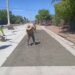 COMUN y SOP registran importantes avances en bacheo
