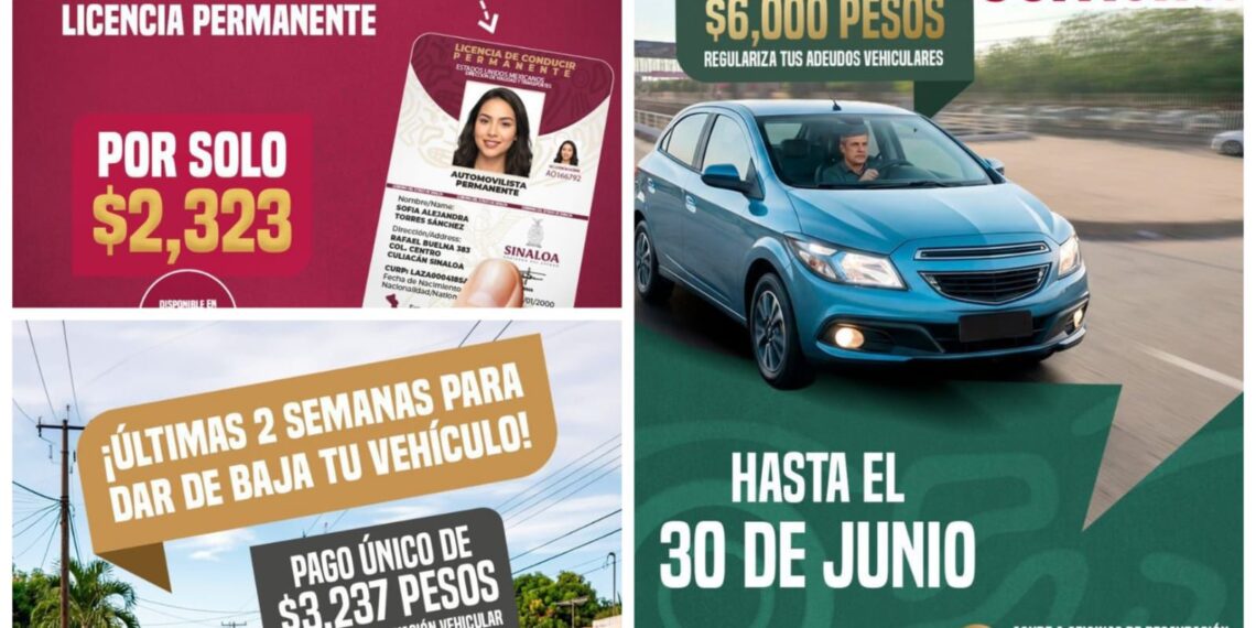 “Aprovecha los últimos 15 días de los programas de regularización vehicular y Licencia Permanente”