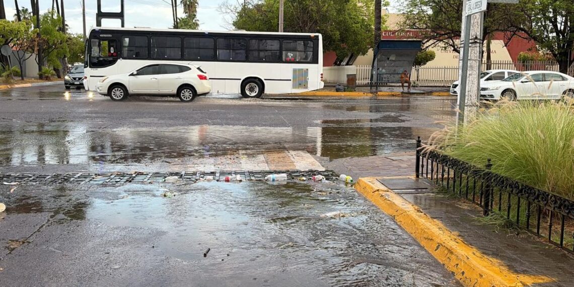 “Ahome mantiene al 90% limpieza y desazolve de rejillas, bocas de tormenta y cauces”: Obras Públicas