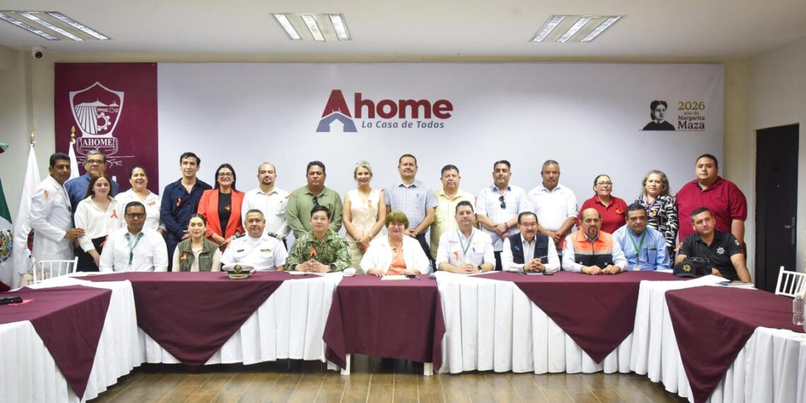 Comité Municipal de Salud sesiona y destaca acciones contra el dengue y brigadas ante golpes de calor