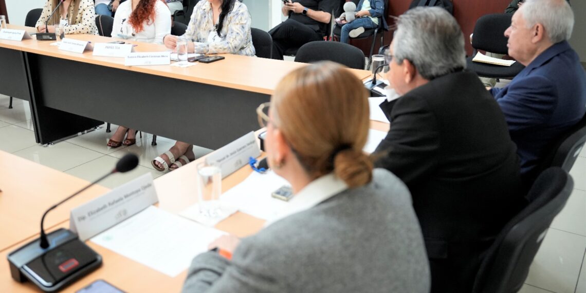 Comisión de Educación escucha a madres con niñas, niños y adolescentes con autismo