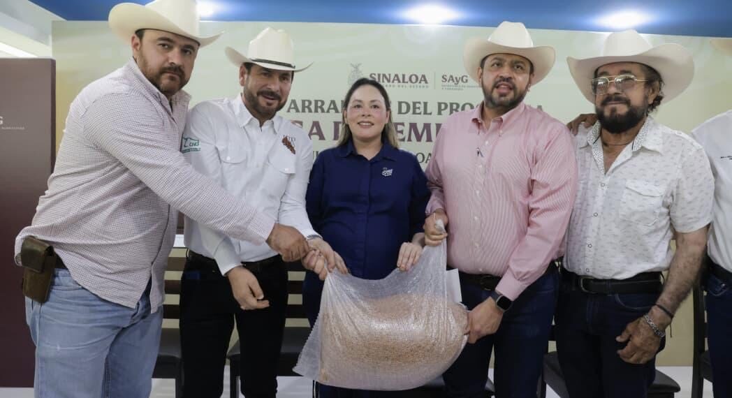 Entrega gobernadora Yeraldine semilla de sorgo a más de 3 mil 800 ganaderos de Sinaloa