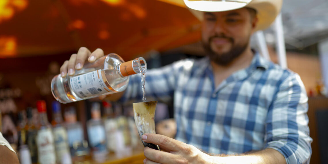 Caída de precios de agave deja campos abandonados y plagas, dicen tequileros