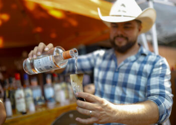 Caída de precios de agave deja campos abandonados y plagas, dicen tequileros