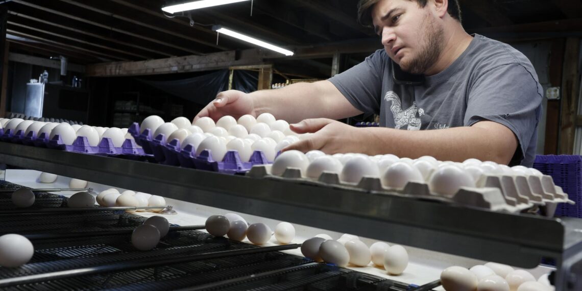 Retiran en EE.UU. 1.5 millones de docenas de huevos por posible salmonela