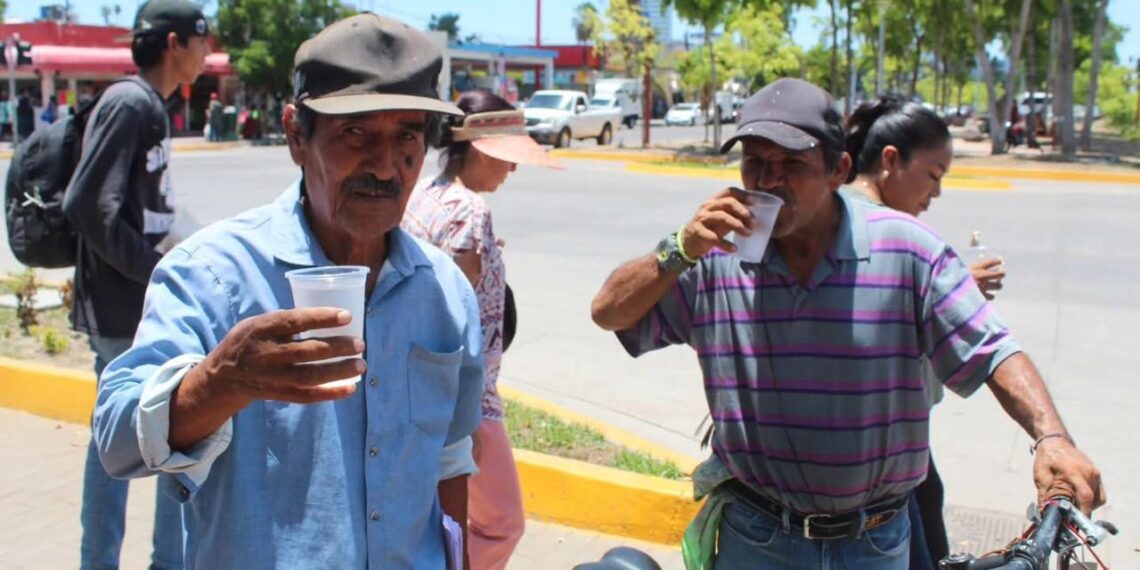 Mantiene Salud Ahome jornadas de hidratación y retiro de criaderos de moscos para evitar dengue y golpes de calor