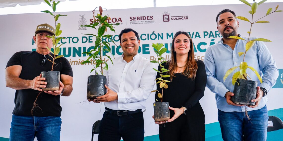 Más de 80 mil árboles se han plantado en Sinaloa mediante las jornadas de arborización que impulsa SEBIDES