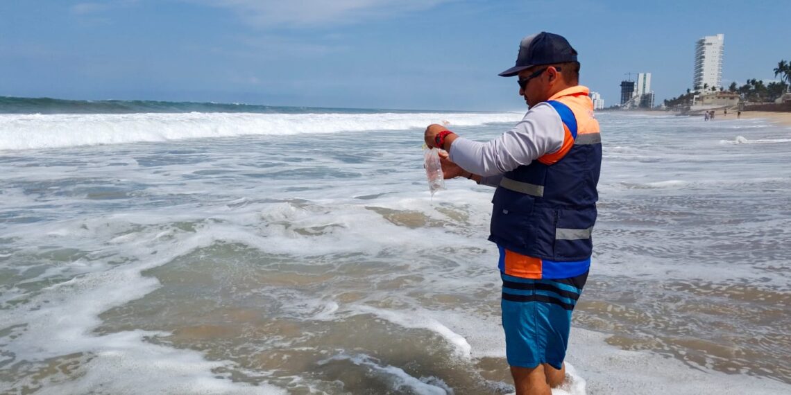 COEPRISS informa que las 22 playas monitoreadas en Sinaloa son aptas para uso recreativo