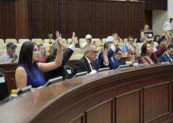 Diputadas y diputados coinciden en fortalecer la salud mental