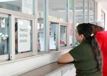 ¡Atención! Ya puedes descargar tus Boletas y Certificados sin costo