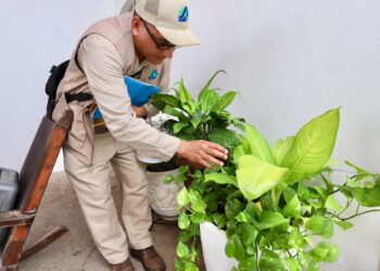 La prevención del dengue empieza en casa: Secretaría de Salud llama a la participación ciudadana