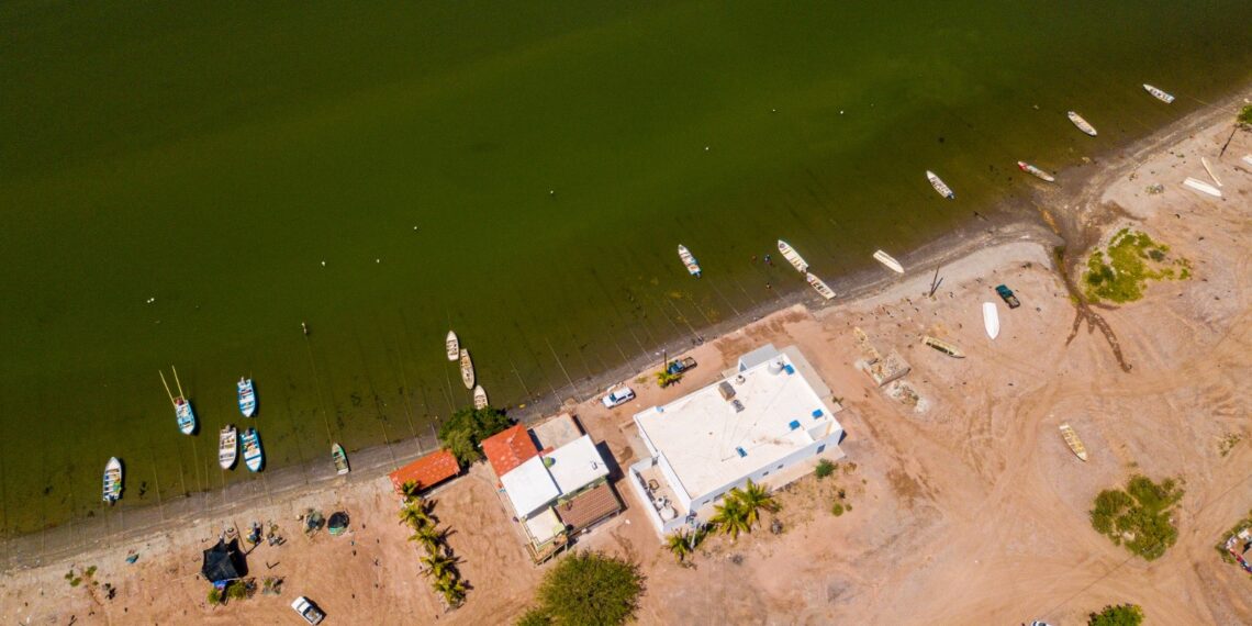 Impide Conapesca captura ilegal de jaiba en Bahía de Ohuira, Sinaloa
