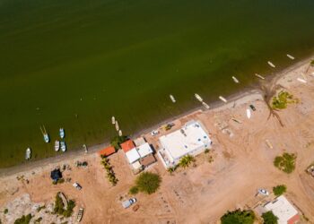 Impide Conapesca captura ilegal de jaiba en Bahía de Ohuira, Sinaloa