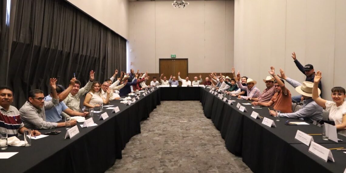 Presidenta Claudia Sheinbaum anuncia que la próxima semana estará en Sinaloa la secretaria de Agricultura para dar continuidad a los temas del campo