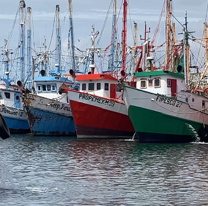 Topolobampo abierto pero con restricciones: no hay salida de la bahía
