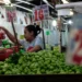 Inflación en México acelera en agosto de 2026; se ubica en 3.26%
