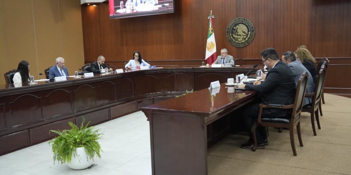 Congreso recibe informe semestral de SIPINNA sobre acciones en favor de la niñez y adolescencias