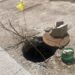 Llama Obras Públicas a cuidar tapas de drenajes y a no quitarlas para evitar accidentes e inundaciones