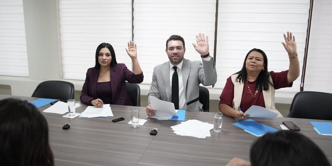 Aprueba Comisión de Protocolo y Régimen Orgánico Interior 12 proyectos de determinación de iniciativas y 11 de pensiones