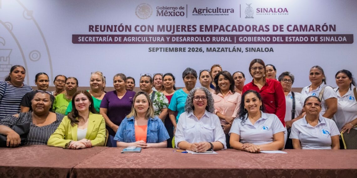 Proyectos de emprendimiento para mujeres empacadoras de camarón, anuncian Gobierno de Sinaloa y SADER