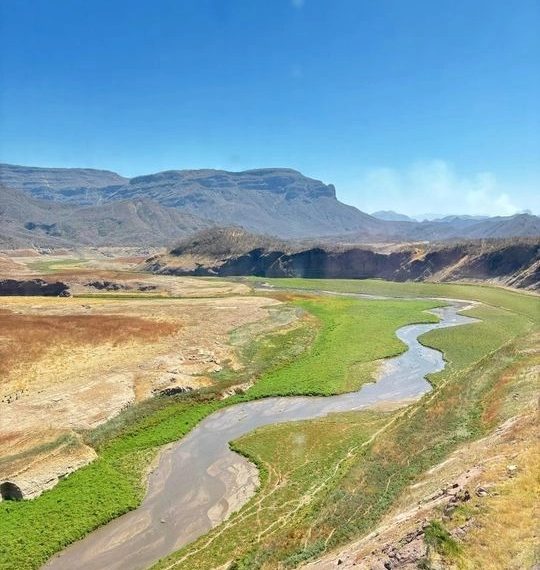 ¡PRESAS DE SINALOA AL 50%! PERO AÚN FALTA PARA ASEGURAR EL CICLO AGRÍCOLA SIN RESTRICCIONES