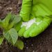Fertilizantes bajo presión: incertidumbre global vuelve estratégica la producción nacional