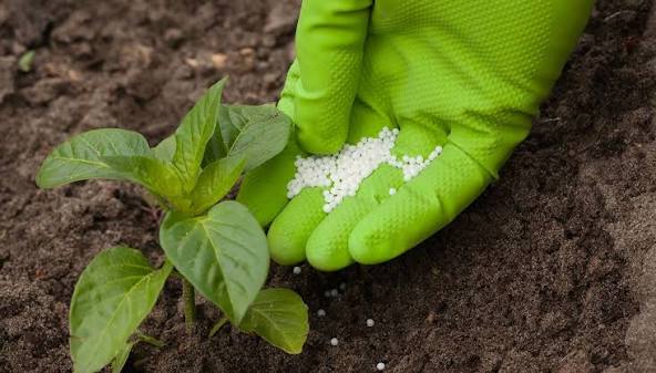 Fertilizantes bajo presión: incertidumbre global vuelve estratégica la producción nacional