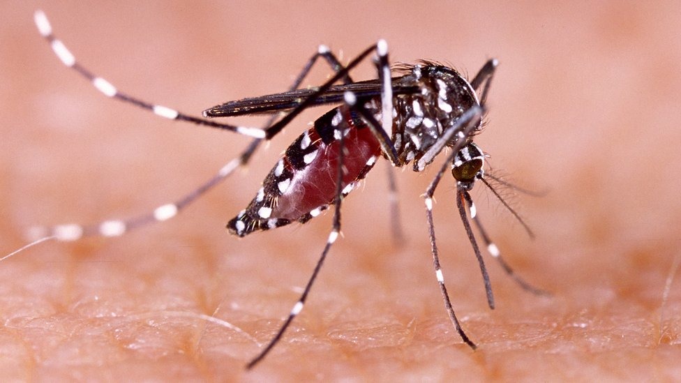 Vigilará Salud riesgo de dengue y enfermedades en comunidades de Ahome afectadas por mar de fondo
