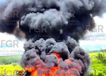 FGR incinera más de 3.7 toneladas de droga en Colima con valor estimado de 648 mdp