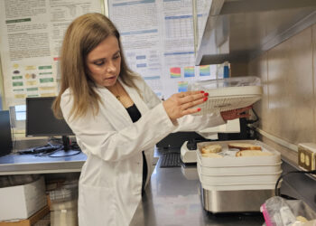 Investigadores de la UAS obtienen patente nacional del IMPI para desarrollo biotecnológico a base de amaranto que mejora la calidad nutricional de alimentos de consumo masivo