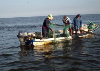 Inicia este 9 de octubre entrega del apoyo Bienpesca en Sinaloa