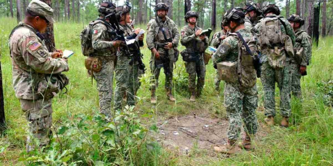 Más de 500 militares mexicanos entrenan con fuerzas de EE.UU. en Fort Polk