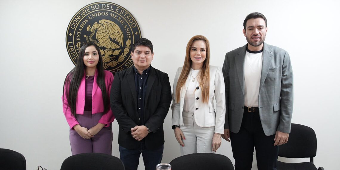 En Comisión, aprueban elección de Aldo Ruiz González para integrarse al Consejo Consultivo del Instituto para la Protección de Personas Defensoras de Derechos Humanos y Periodistas del Estado de Sinaloa