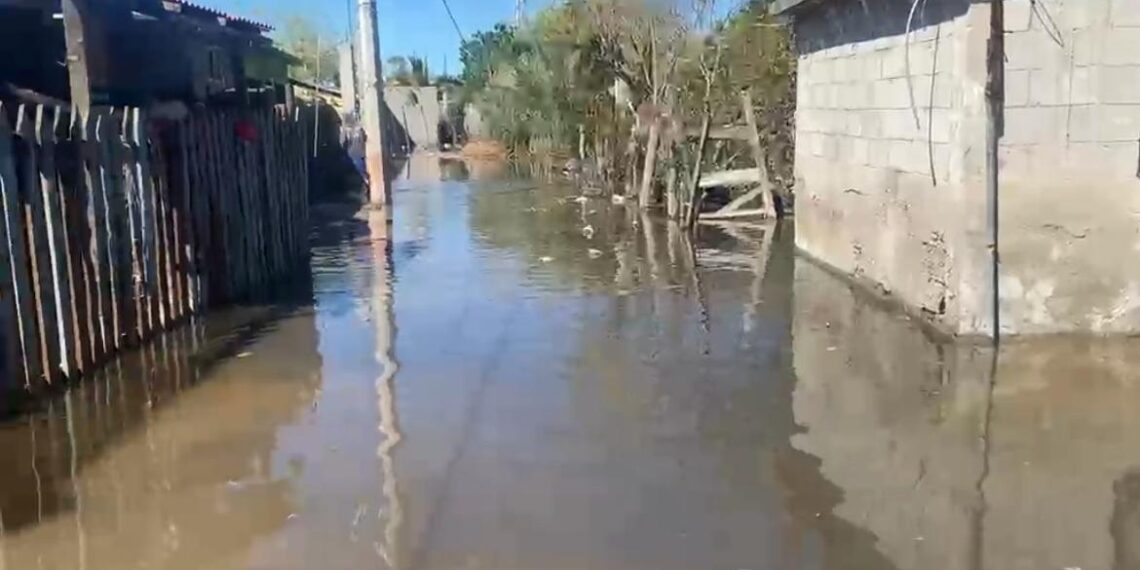 Protección Civil analiza soluciones ante ingreso recurrente del mar a viviendas de El Colorado