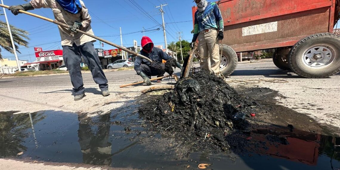 JAPAMA llama a la ciudadanía a evitar arrojar toallitas húmedas y basura al drenaje sanitario