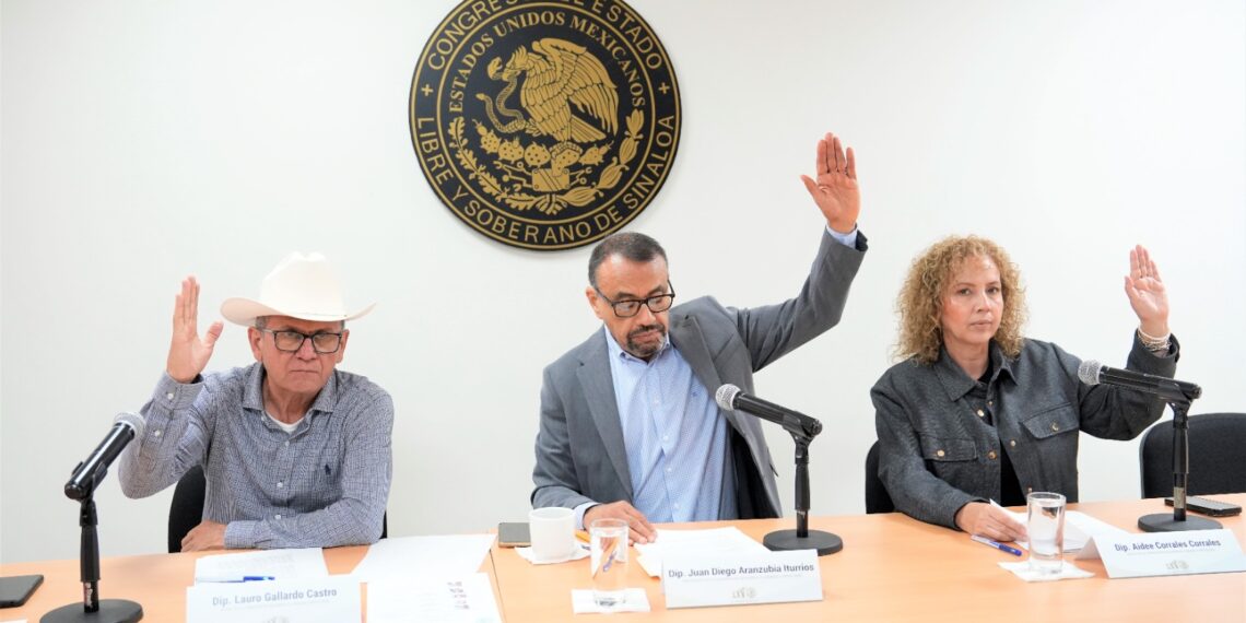 Analiza Comisión de Desarrollo Urbano predictamen que regula vehículos no motorizados