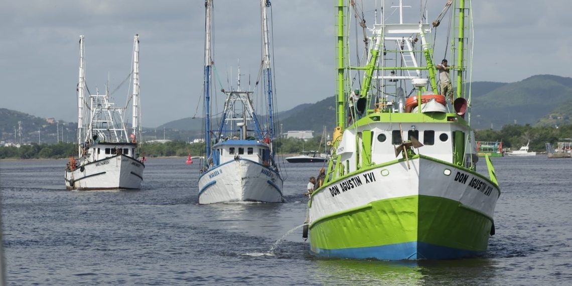 MENOS BARCOS Y CONFIANZA EN BUENA CAPTURA: INICIA TEMPORADA DE CAMARÓN 2026-2027
