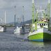 MENOS BARCOS Y CONFIANZA EN BUENA CAPTURA: INICIA TEMPORADA DE CAMARÓN 2026-2027