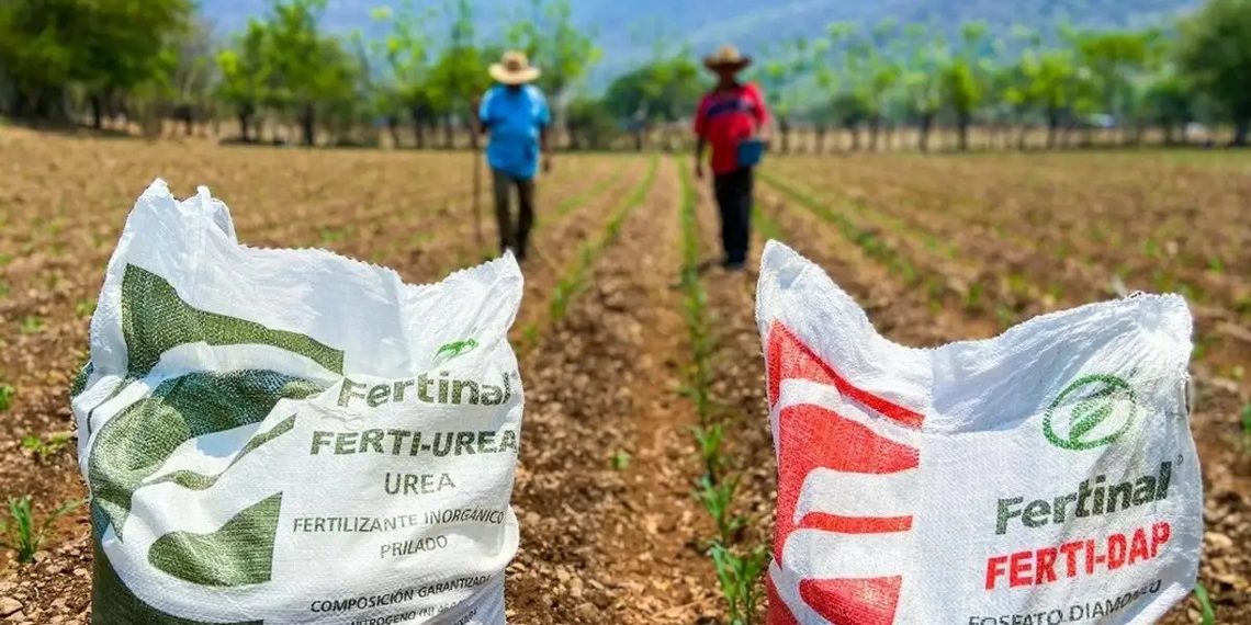 SE DISPARA 20% EL FERTILIZANTE Y PEGA A LA RENTABILIDAD PARA EL CICLO 2026-2027 EN SINALOA