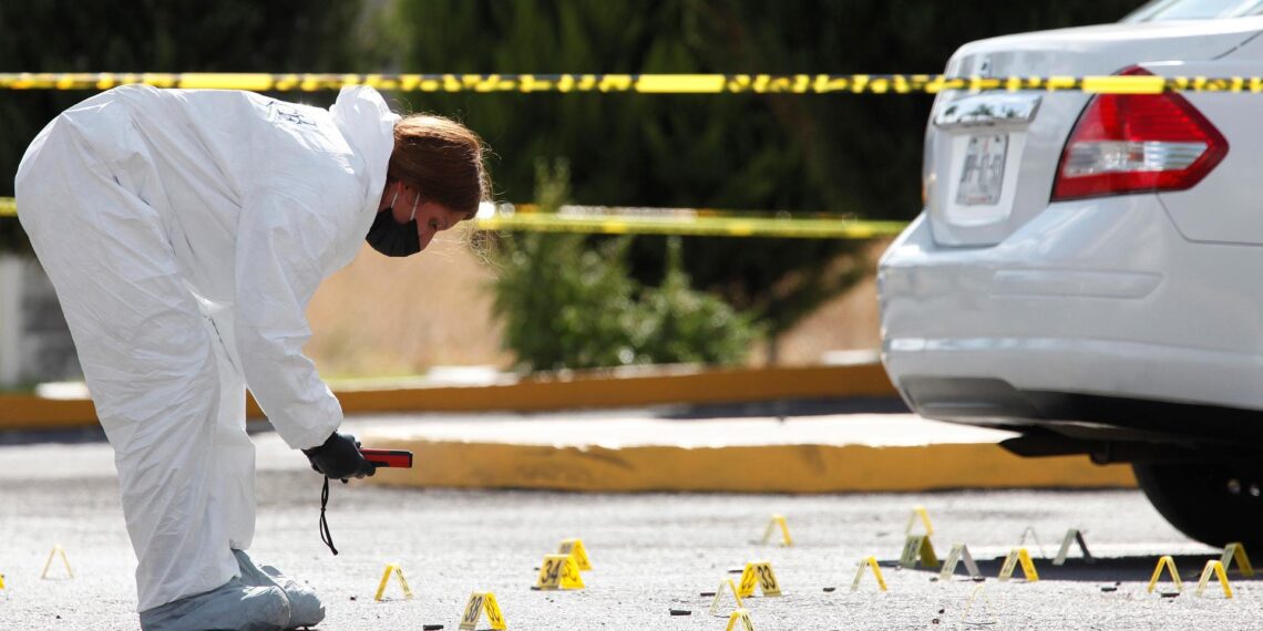 Homicidios dolosos bajan 52% en dos años del Gobierno de Sheinbaum
